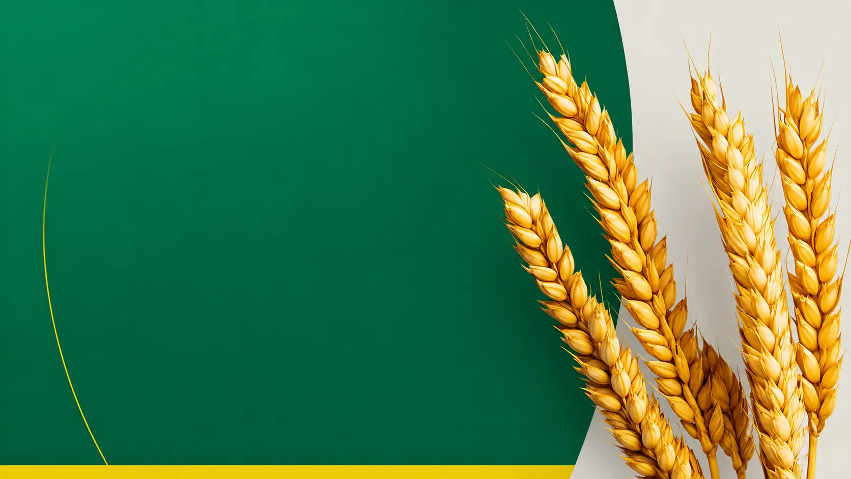 Специальное предложениедля агрохолдингов